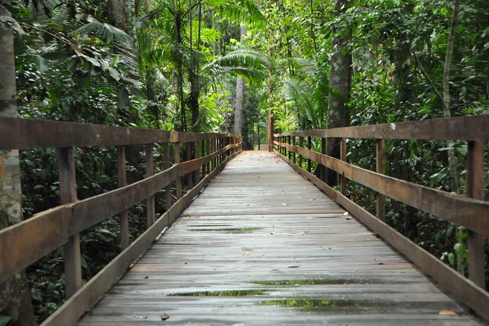 Parque Natural de Porto Velho estará aberto para visitação nesse feriado