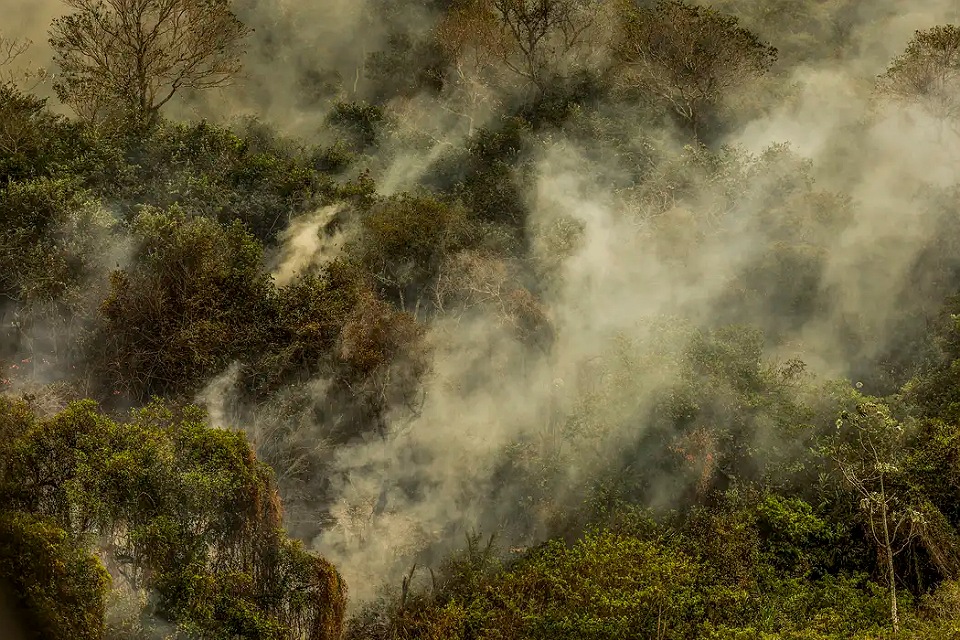 Rondônia declara situação de emergência por incêndios florestais