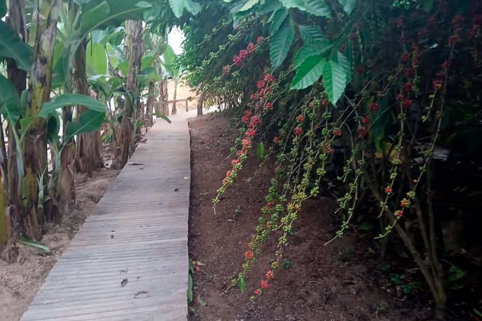 Vitrines tecnológicas destacam técnicas de manejo e cultivo de excelência