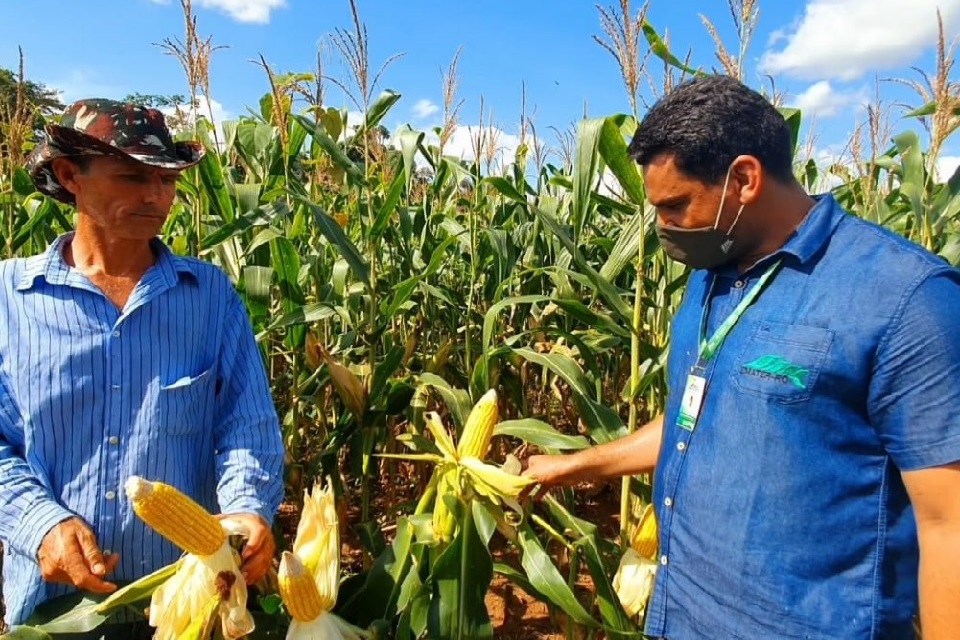 Emater consolida apoio indispensável ao produtor rural em Rondônia com moderna tecnologia aos 50 anos